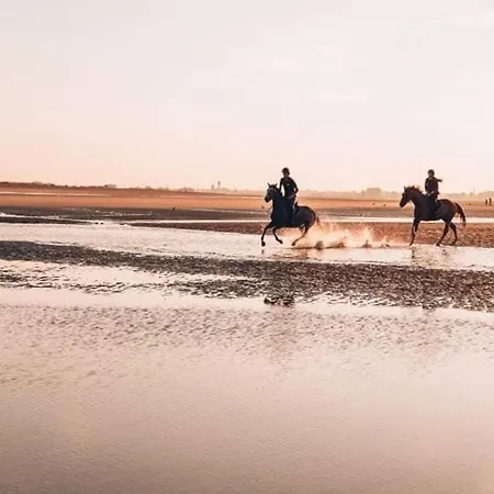 Duplex Avec Jardin Prive Pour 4 Pers. A 400m De La - Merville-franceville - Fr-1-465-110 Apartment *