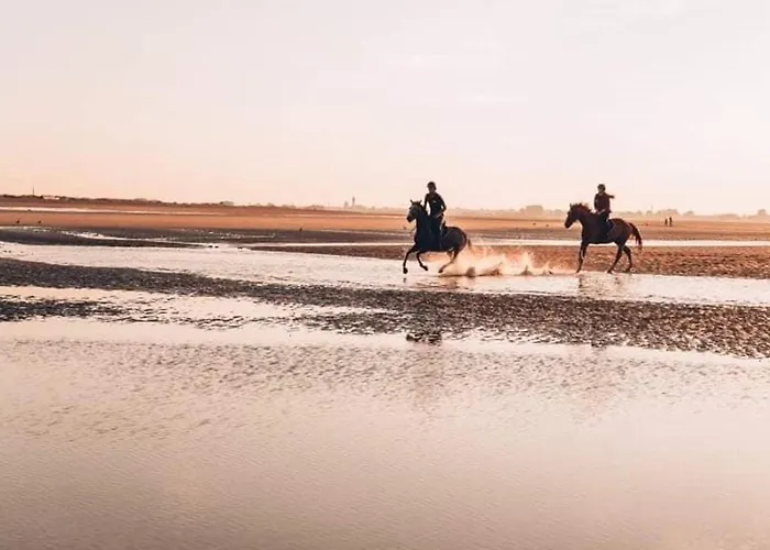 Duplex Avec Jardin Prive Pour 4 Pers. A 400m De La - Merville-franceville - Fr-1-465-110 شقة *